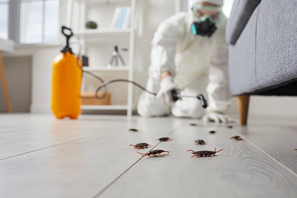 Affordable Cockroach Control solutions in Seacliff, CA